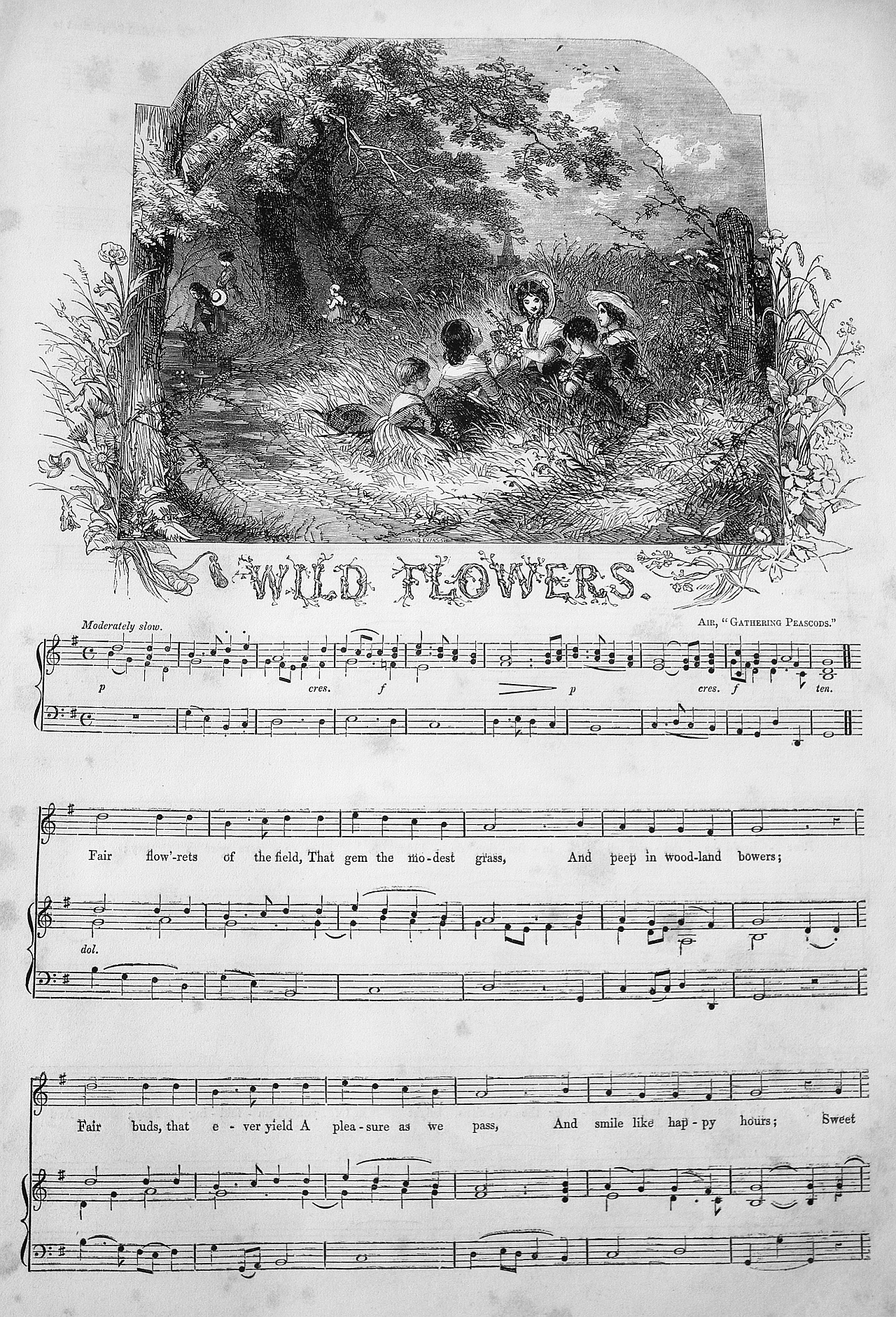 wild flowers may 1 1852 1